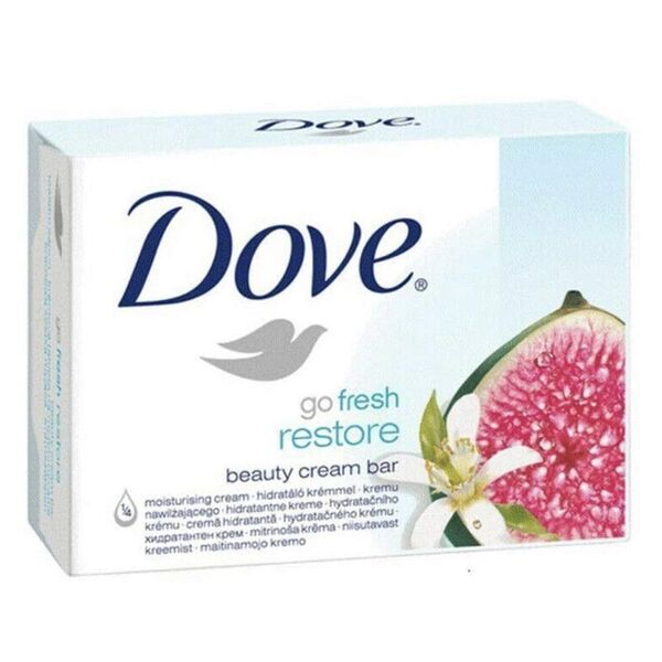 Dove Soap Go Fresh Restore 100g
